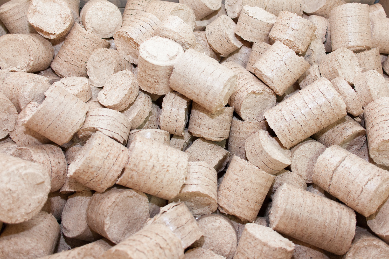 Bio-coal briquettes